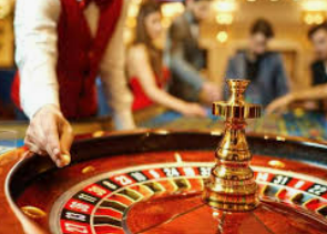 新kiyaun网页版登录2024最新版